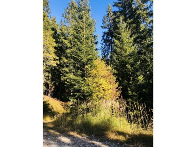 Apartment Ferienhaus (ab 3 Nächte) - Outdoor photo 15