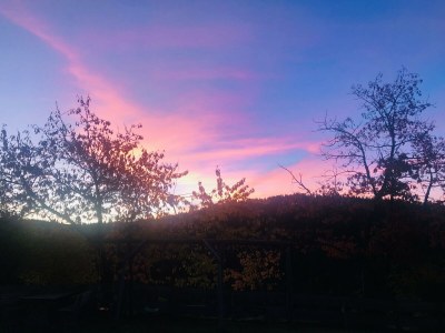 Apartment Ferienhaus (ab 3 Nächte) - Outdoor photo 17