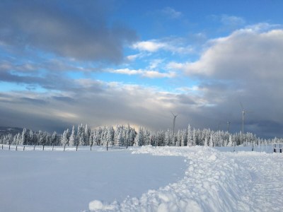 Apartment Ferienhaus (ab 3 Nächte) - Outdoor photo 19