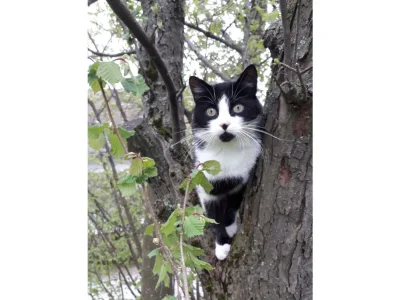 Apartment Ferienhaus Klampfl (ab 3 Nächte) - Outdoor photo 17