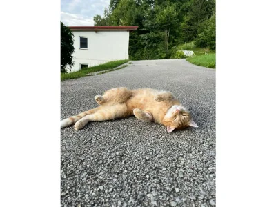 Apartment Ferienhaus Klampfl (ab 3 Nächte) - Outdoor photo 21