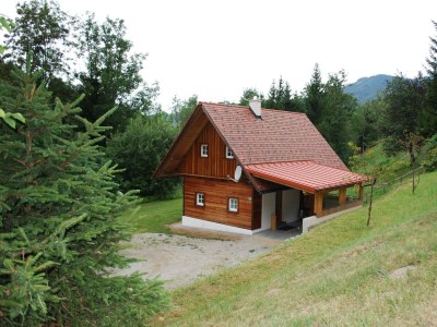 Apartment Ferienhaus Schirgi - Outdoor photo 14