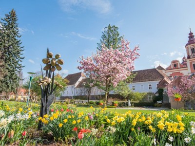 Apartment Ferienhaus/4 Schlafräume/ 2 Duschen, 2 WC, Sauna - Outdoor photo 8