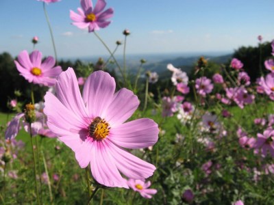 Apartment Ferienhaus/4 Schlafräume/ 2 Duschen, 2 WC, Sauna - Outdoor photo 9