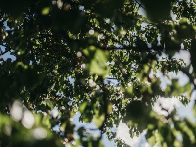 Apartment Muhrblick Studio (1-2 Nächte NF) - Outdoor photo 12