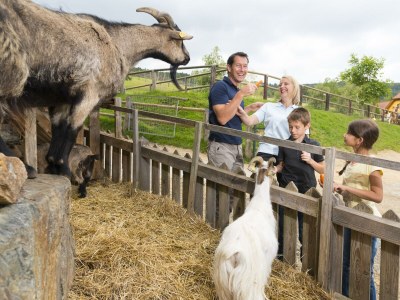 Apartment Muhrblick Studio (1-2 Nächte NF) - Outdoor photo 26