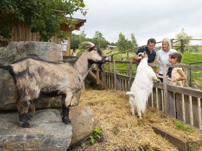 Apartment Muhrblick Studio (1-2 Nächte NF) - Outdoor photo 42