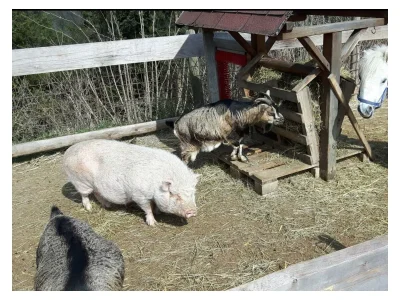 Apartment Appartement/Fewo, Dusche, WC, 3 Schlafräume - Outdoor photo 7