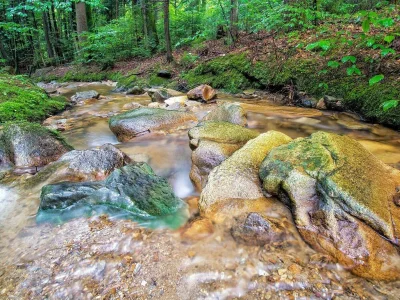 Apartment Appartement/Fewo, Dusche, WC, 3 Schlafräume - Outdoor photo 9