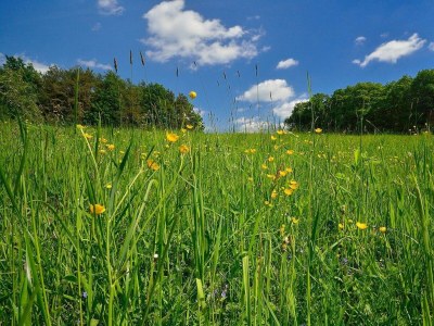 Apartment Appartement/Fewo, Dusche, WC, 3 Schlafräume - Outdoor photo 10