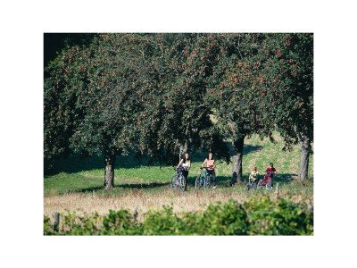 Apartment Appartement/Fewo, Dusche, WC, 3 Schlafräume - Outdoor photo 13