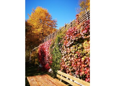 Apartment Landhaus Kurzen - Outdoor photo 17