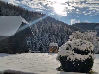 Apartment Landhaus Kurzen - Outdoor photo 19