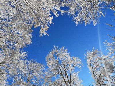 Apartment Landhaus Kurzen - Outdoor photo 22