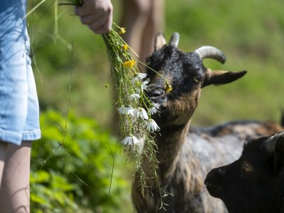 Apartment Familienappartment Sup., Dusche/Bad/WC - Outdoor photo 27