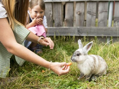 Apartment Familienappartment Sup., Dusche/Bad/WC - Outdoor photo 29