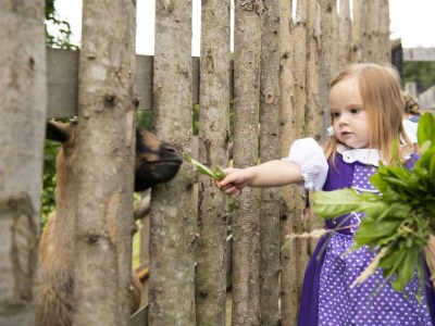 Apartment Familienappartment Sup., Dusche/Bad/WC - Outdoor photo 37