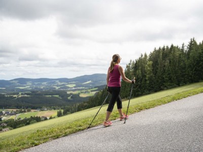 Apartment Ferienwohn. 60m²  80m unterhalb vom Hotel - Outdoor photo 23