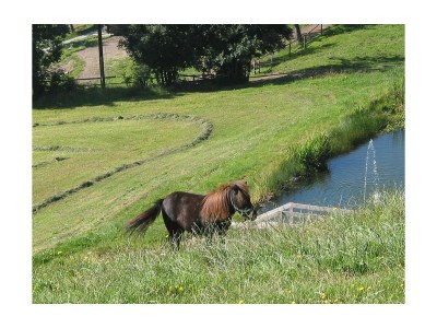 Apartment Ferienwohn. 60m²  80m unterhalb vom Hotel - Outdoor photo 76