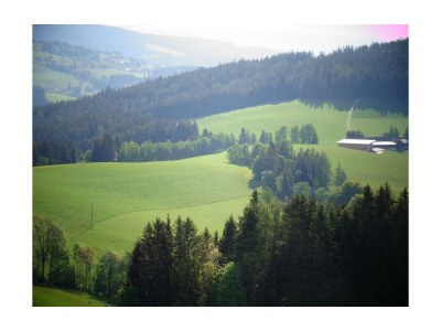 Apartment Ferienwohn. 60m²  80m unterhalb vom Hotel - Outdoor photo 89