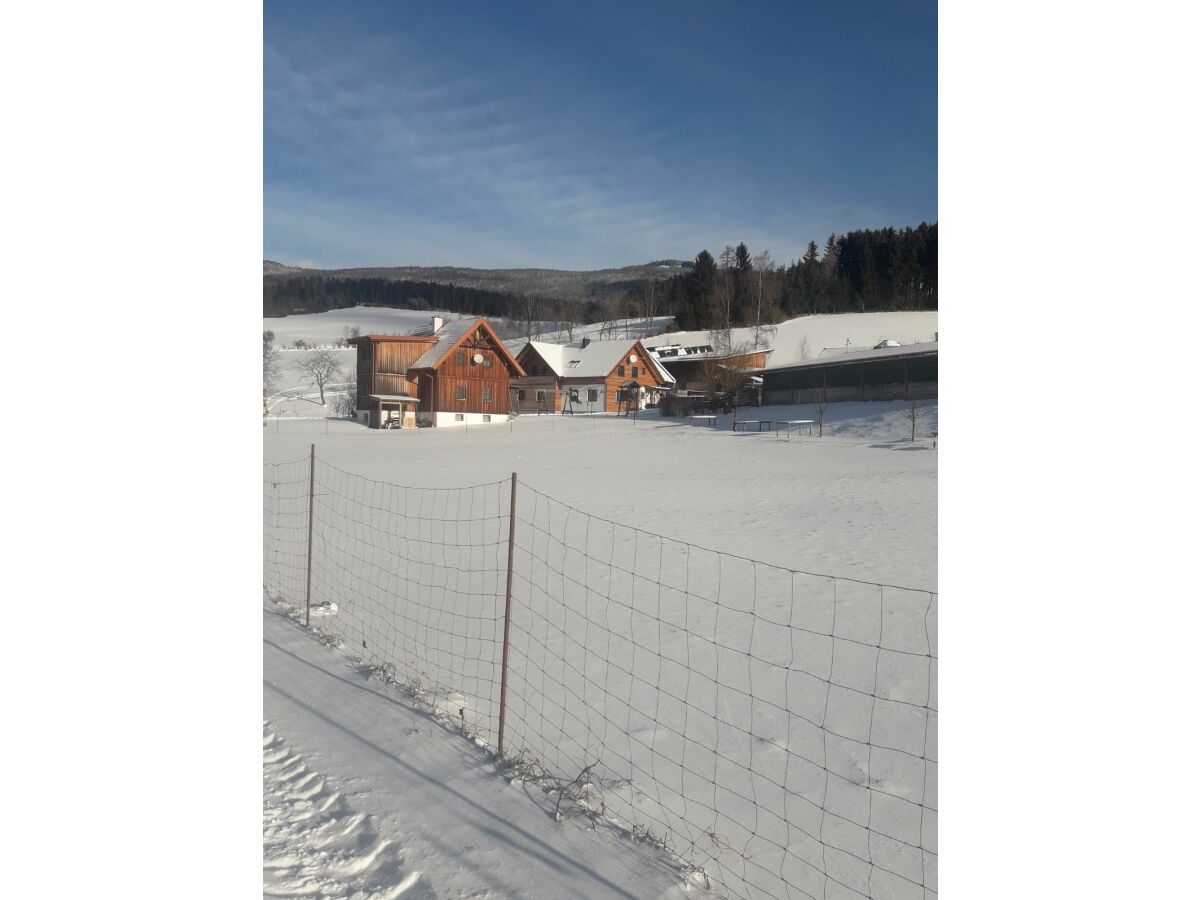 Apartment FEWO "Vogelgezwitscher"