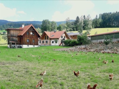 Apartment FEWO "Vogelgezwitscher" - Outdoor photo 4