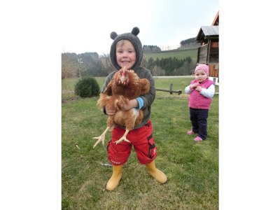 Apartment FEWO "Vogelgezwitscher" - Outdoor photo 7