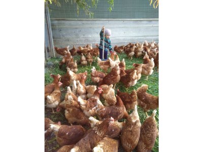 Apartment FEWO "Vogelgezwitscher" - Outdoor photo 8