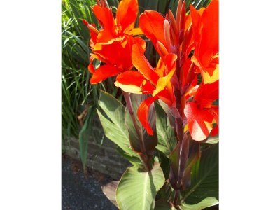 Apartment Ferienwohnung "Sternenblau" - Outdoor photo 10