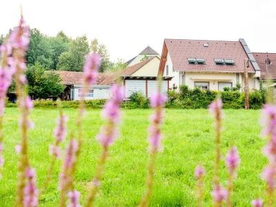 Apartment Ferienwohnung "Sternenblau" - Outdoor photo 12