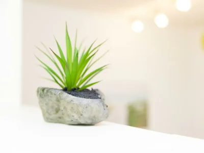 Apartment Ferienwohnung "Sternenblau" - Outdoor photo 16