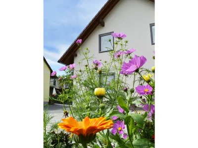 Apartment Ferienwohnung "Sternenblau" - Features photo 22