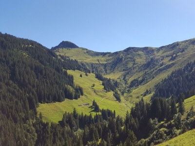 Apartment Schlössl Typ A - Outdoor photo 13