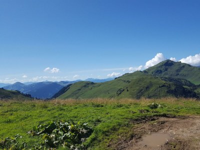 Apartment Schlössl Typ A - Outdoor photo 17