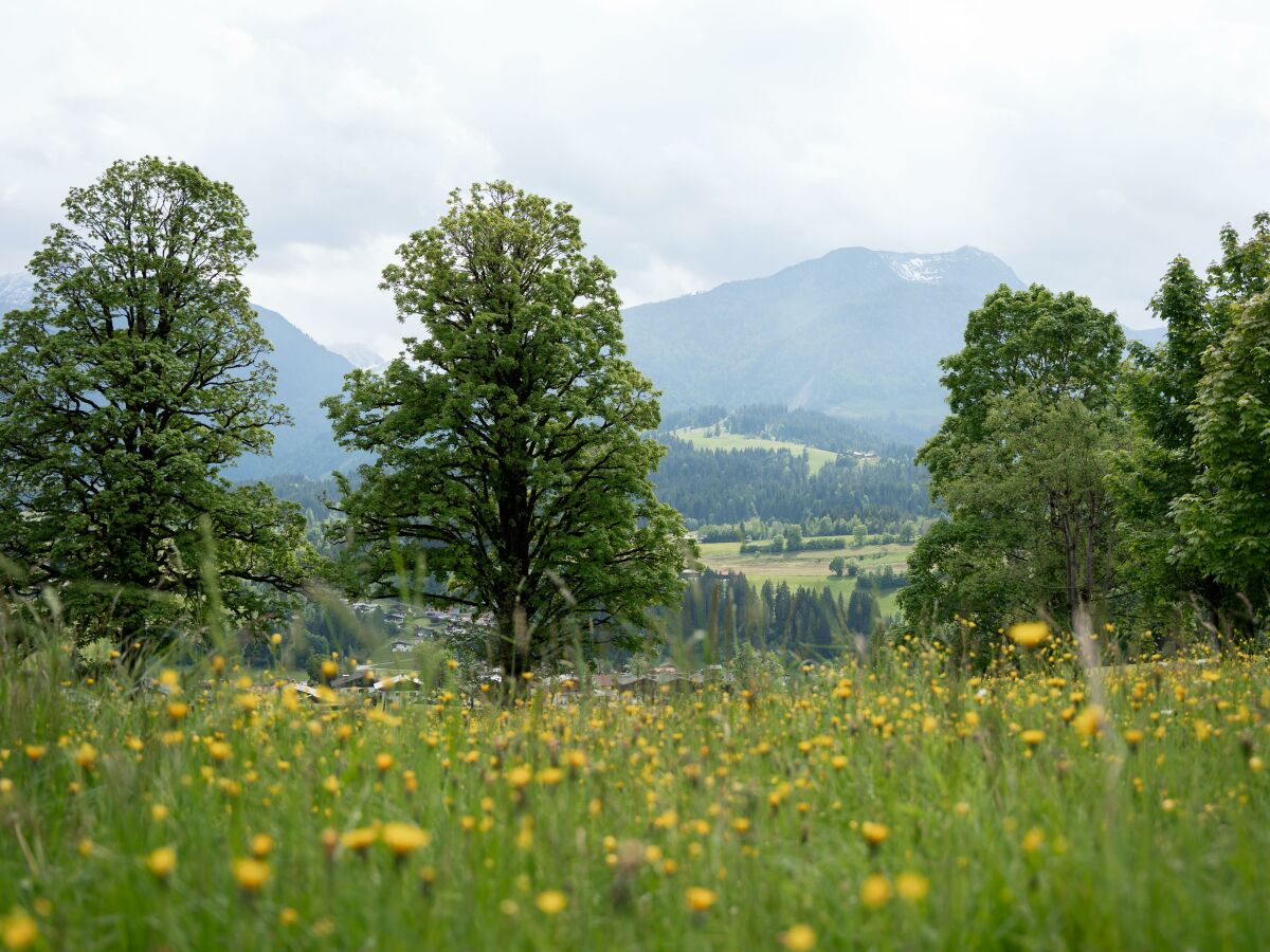 Apartment Ferienwohnung Valentina - Outdoor photo 3
