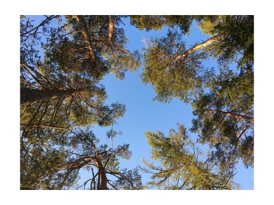 Holiday room Familienzimmer - Outdoor photo 29