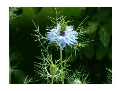 Apartment Appartement Nr. 5 - Outdoor photo 16