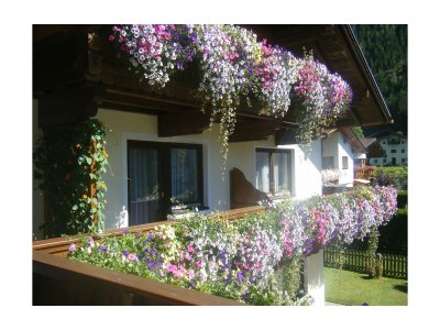 Apartment Appartement Nr. 2 - Outdoor photo 12