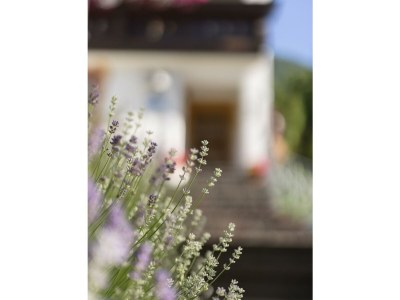 Apartment Ferienhaus Gulla für max. 24 Personen - Outdoor photo 12