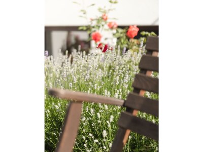 Apartment Ferienhaus Gulla für max. 24 Personen - Features photo 55