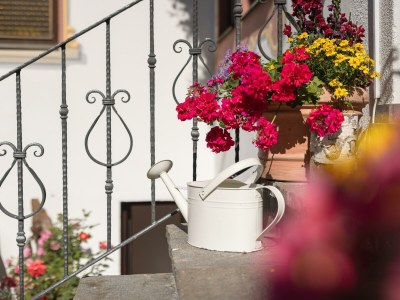 Apartment Ferienhaus Gulla für max. 24 Personen - Features photo 58