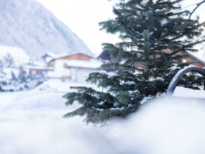 Apartment Ferienhaus Gulla für max. 24 Personen - Features photo 62