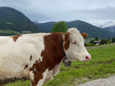 Apartment Snow Stone - Outdoor photo 11