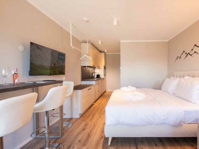 Apartment Snow Stone - Features photo 18