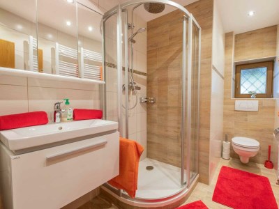 Apartment Ferienwohnung David in Telfes - Apartment