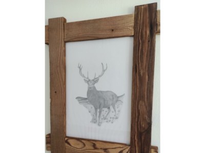 Apartment Ferienwohnung David - Outdoor photo 7