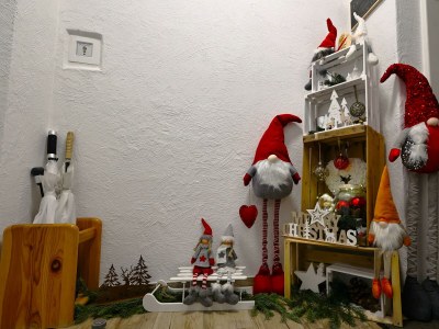 Apartment Ferienwohnung David - Outdoor photo 44