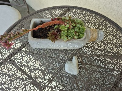 Apartment Ferienwohnung Sonnenschein - Outdoor photo 6