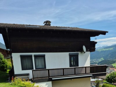 Apartment Ferienwohnung Sonnenschein - Outdoor photo 9