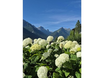 Apartment Ferienwohnung Sonnenschein - Outdoor photo 10